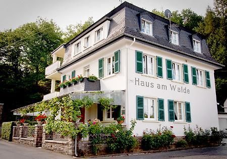 Pension "Haus Am Walde" Brodenbach, Mosel Экстерьер фото