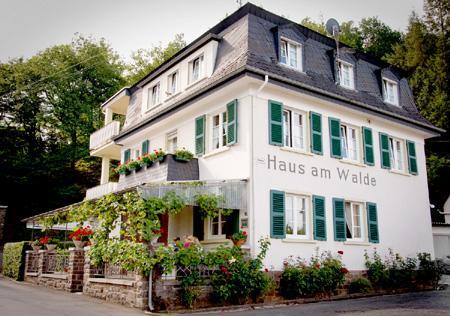 Pension "Haus Am Walde" Brodenbach, Mosel Экстерьер фото