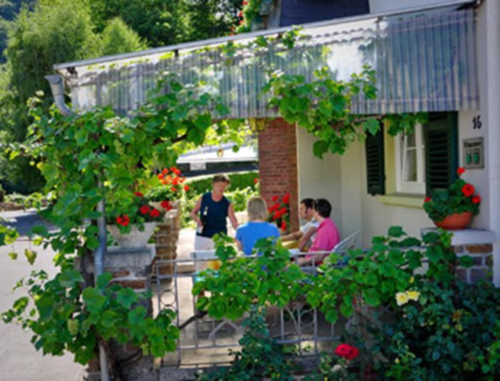 Pension "Haus Am Walde" Brodenbach, Mosel Экстерьер фото