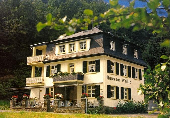 Pension "Haus Am Walde" Brodenbach, Mosel Экстерьер фото